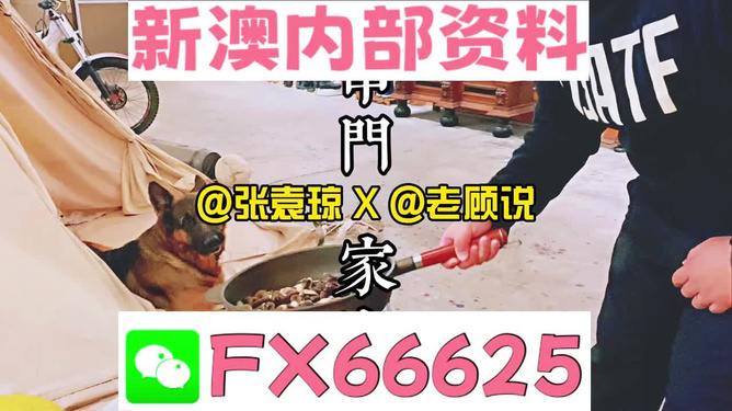 新澳门精准资料大全管家婆料,警惕虚假宣传落实,专家解答解释落实